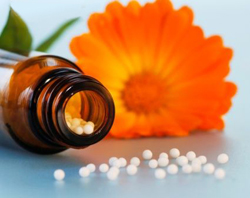 homeopatia imagen portada